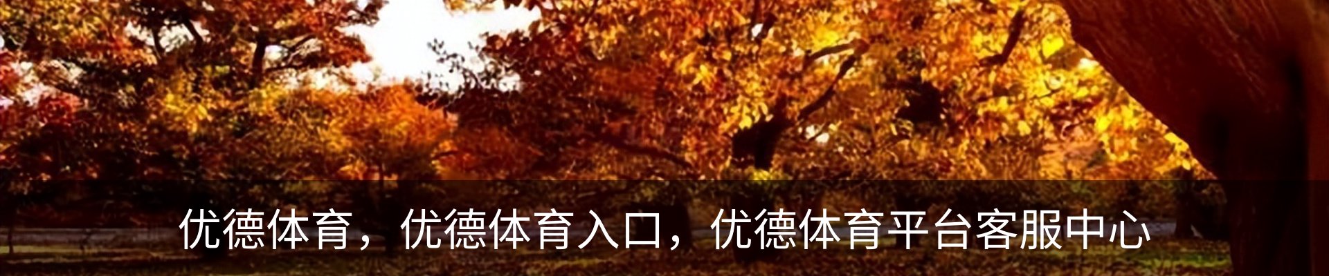 优德体育，优德体育入口，优德体育平台客服中心